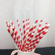 25Pcs Reusable Paper Drinking Straws