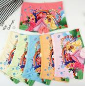 Cute Girl Underwear Panties 2-8 Years image