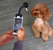 Pet Selfie Stick for Dogs Cat photography tool