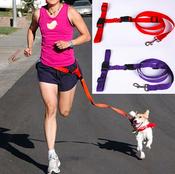 Adjustable Hands Free Running Walking Pet Traction Rope image