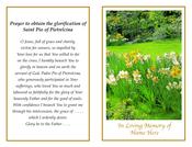 Spring Daffodil Garden &amp;amp; Padre Pio Memorial Mass Card image