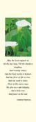 Elegant Calla Lily &amp;amp; Cardinal Newman Memorial Bookmark