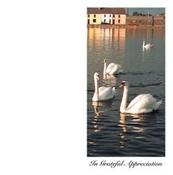 Personalised Swans In Grateful Appreciation Irish Wallet Memorial Card image