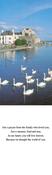 Serene Irish Swans Bookmark Memorial Card