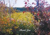 Garden Flowers Memorial Thank You Card image