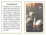 Tranquil Swans and Memorial Mass Card image