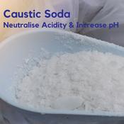 Caustic Soda