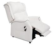 Matrix Contemporary Riser Recliner image