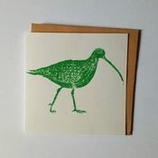 Curlew Green image