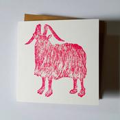 Goat Pink