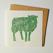 Sheep Green image