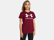 Under Armour Sportstyle Logo SS image