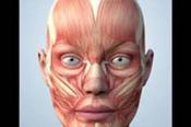 Level 3 Award in Anatomy &amp; Physiology