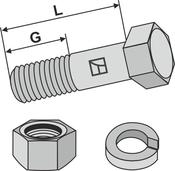 Bolt with nut and split washer - 1/2''UNF x38 - AgriParts