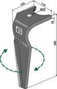 Tine for rotary harrows, right model - AgriParts