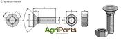 Plough bolt DIN608 M10x1,5x25 and hexagon nut - AgriParts image