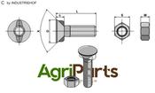 Plough bolt M10 x 1,5 x 35 with hexagon nut - AgriParts image