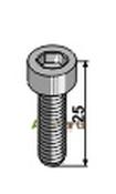 Hexagon socket bolt M12x1,75x25 - AgriParts