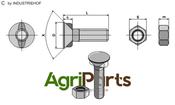 Plough bolt M12 x 1,75 x 30 with hexagon nut - AgriParts