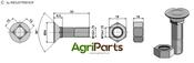 Plough bolt M12x1,75x33 and hexagon nut - AgriParts image