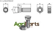 Plough bolt 1/2''UNCx40 with hexagon nut - AgriParts image