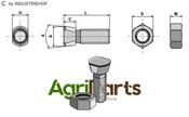 Plough bolt M12x1,75x40 with hexagon nut - AgriParts