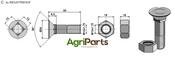 Plough bolt M12x1,75x55 and hexagon nut - AgriParts