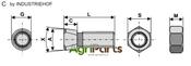 Plough bolt M16x2x80 with hexagon nut - AgriParts image