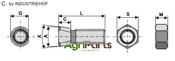 Plough bolt M16x2x85 with hexagon nut - AgriParts image