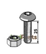 Saucer-head screw M8x1,25x25 with hexagon socket with nut - AgriParts