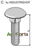 Bolt M8x1,25x100 galvanized without nut - AgriParts image