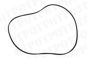 Brake Disk O-Ring - AgriParts image