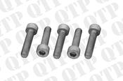 Exhaust Elbow Bolt - AgriParts image