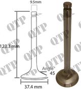 Exhaust Valve - AgriParts image