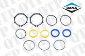 Steering Cylinder O-Ring Kit - AgriParts