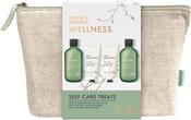 Wellness Self-Care Treats Kit
