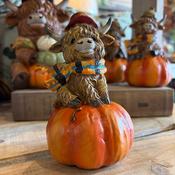 Highland Cow Pumpkin - Red hat