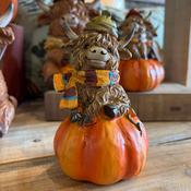 Highland Cow Pumpkin - Green hat