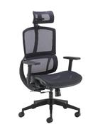 Alto Ergonomic Office Chair