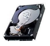 High Capacity Hard Drive Seagate Cheetah ST3300007LC 300GB 10K RPM U320 SCSI Hard Drive 3.5" 80-Pin image