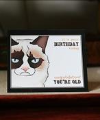 Funny Birthday Cards For Women Grumpy Cat Birthday Card For Dad – Funny Humorous Grouchy Cat Card By Swizzoo image