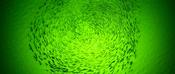 Led Garden Lights 12 V 126 LED Green Underwater Fishing Light - 12V Submersible Fish Attractor Lamp