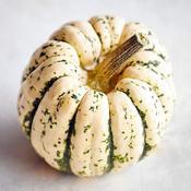 Seeds Squash 25+ Sweet Dumpling Winter Squash Seeds – Organically Grown, Rare Heirloom, 1-2 Lb Fruits image