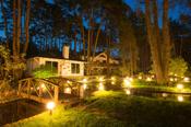 T-SUN Solar LED Green Spot Lights – Outdoor Garden Pathway Landscape Lamps (2-4 Pack) Solar Lights Outdoor image