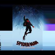 Spider-Man: Across The Spider-Verse Poster #175 – Multicolor, Contemporary Style Poster Spider Man image