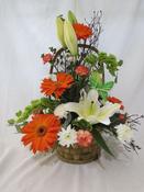 Basket Beauty