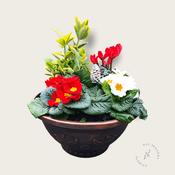 Christmas Planter image