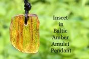 Insect in Baltic Amber Amulet Pendant
