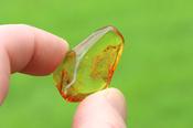 Amber Insect Inclusion