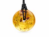 Large Amber Donut Pendant with Inclusion